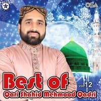 Best Of Qari Shahid Mehmood Qadri, Vol. 12