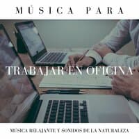 Música para Trabajar en Oficina: Música Relajante y Sonidos de la Naturaleza