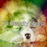 78 Beauty Sleep