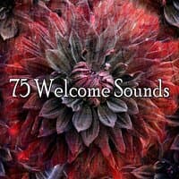 75 Welcome Sounds