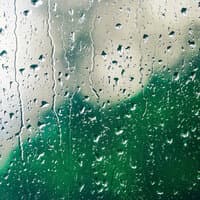 2020 Relaxing Sounds of Rain for Lazy Afternoons