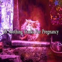 68 Soothing Tracks for Pregnancy