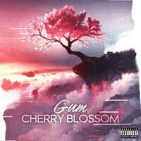 Cherry Blossom