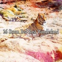 26 Storm Bed Rest Wonderland