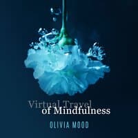 Virtual Travel of Mindfulness