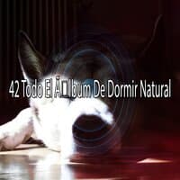 42 Todo El Ãlbum De Dormir Natural