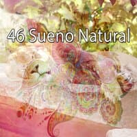 46 Sueno Natural