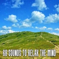 68 Sounds to Relax the Mind