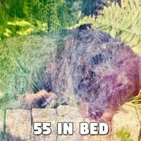 55 In Bed