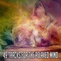 49 Tracks For The Relaxed Mind