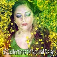 63 Collections Of Natural Noise