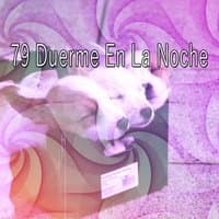 79 Duerme En La Noche