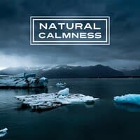 Natural Calmness – Relaxing Sounds of Nature, Ambient Nature Music, Natural Sounds, Rain, Waves and Birds