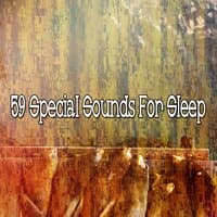 59 Special Sounds for Sleep