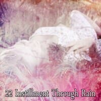 22 Instillment Through Rain