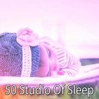 50 Studio of Sleep