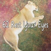 62 Rest Your Eyes