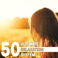 50 Ultimate Relaxation System – Healing Music for Deep Sleep, Total Relax, Stress Relief, Natural Cure for Insomnia, Stress Management