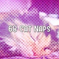 68 Cat Naps