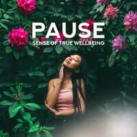 Pause - Sense of True Wellbeing: Most Relaxing & Soothing New Age Music