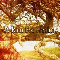 20 Rain for Healing