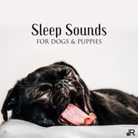 Sleep Sounds for Dogs & Puppies: Soothing Music to Help Your Puppy Go to Sleep at Night, Relaxation Bedtime Songs & Calm Sleep Lullabies for Dogs