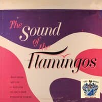 The Sound of The Flamingos