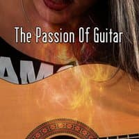 The Passion Of Guitar