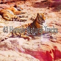 43 Homely Natural Tracks