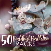 50 Buddhist Meditation Tracks - Mindful Meditations Music, Zen Sounds of Nature & Buddha Songs