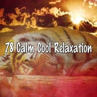 78 Calm Cool Relaxation