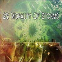 25 Morality of Storms