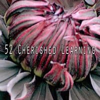 52 Cherished Learning