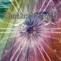 59 Sounds Recorded From Nature