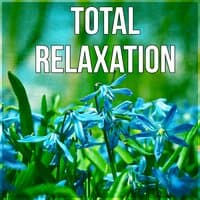 Total Relaxation – Deep Relaxation Music, Chill Out, New Age Music, Background Soft Music, Nature Sounds, Calm Music for Relax, Stress Relief