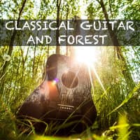 Classical Guitar and Forest