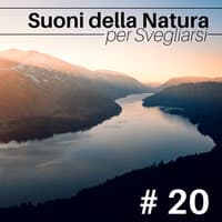 # 20 Suoni della Natura per Svegliarsi - Ruscello, Pioggia e Onde del Mare