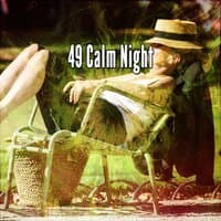 49 Calm Night