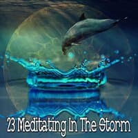 23 Meditating in the Storm