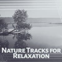 Nature Tracks for Relaxation