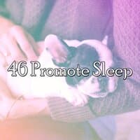 46 Promote Sleep