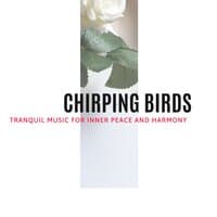 Chirping Birds - Tranquil Music for Inner Peace and Harmony