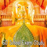 60 School Exam Study