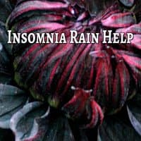 Insomnia Rain Help