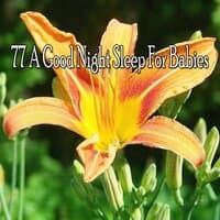 77 A Good Night Sleep for Babies