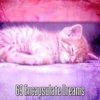 69 Encapsulate Dreams