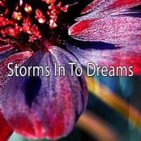 Storms In To Dreams