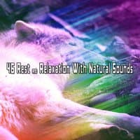 46 Rest & Relaxation With Natural Sounds