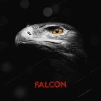 Falcon