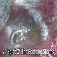 25 Spirit of the Soothing Storms